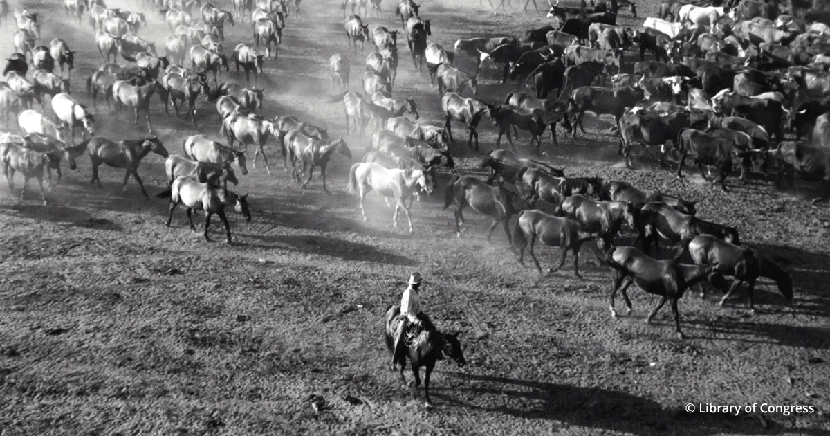 King Ranch, King Ranch Heirs