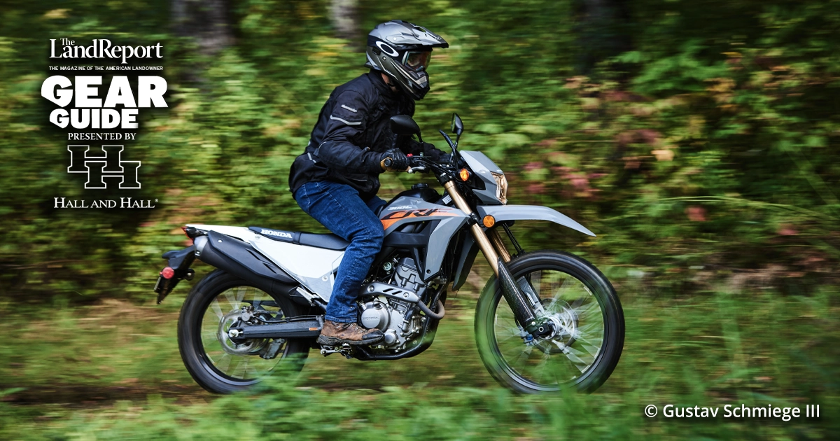 LR_GG-Honda-02