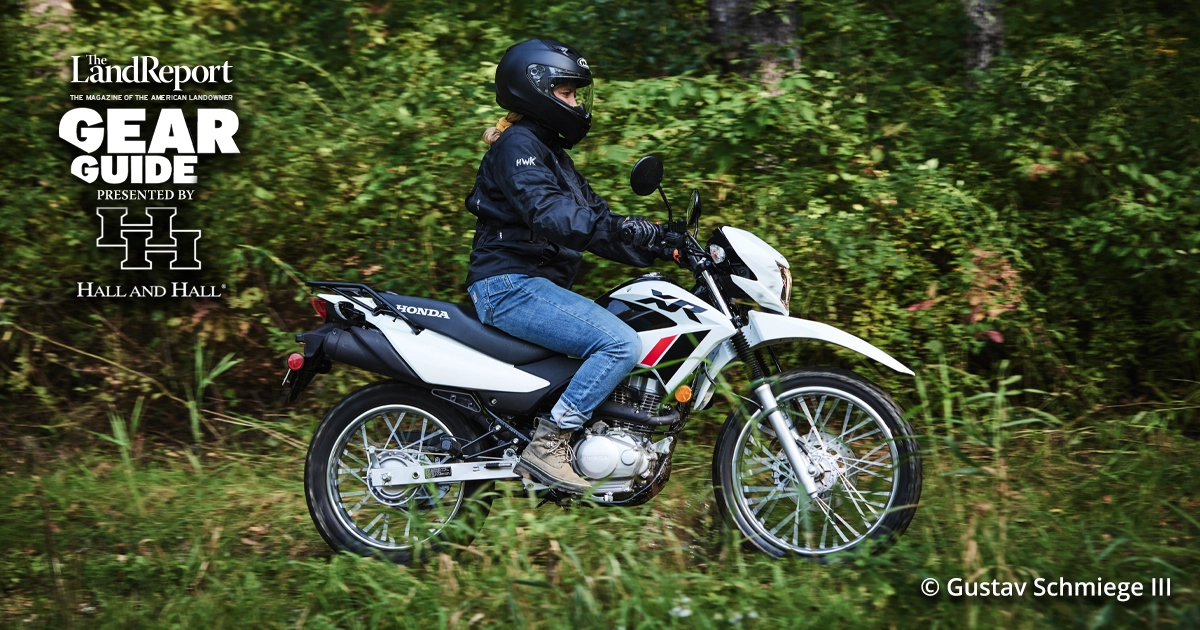 LR_GG-Honda-03
