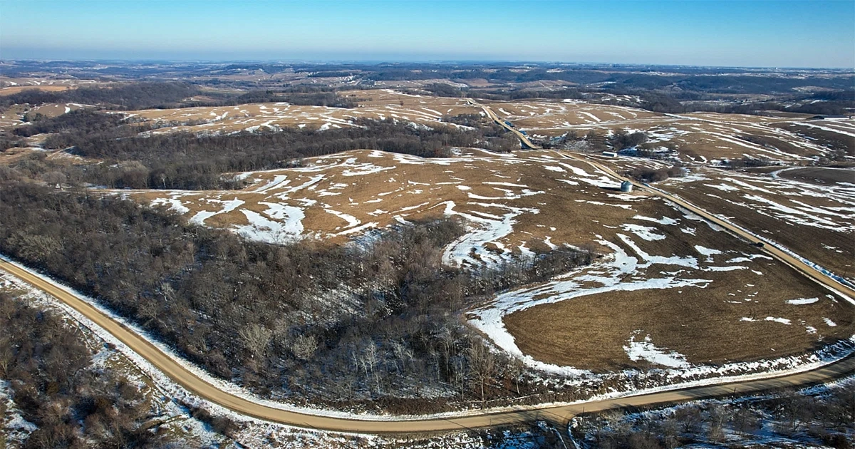 LR_IowaFarmlandAuction-Schrader-04