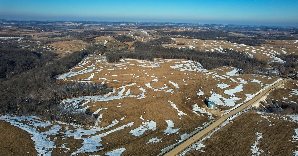 LR_IowaFarmlandAuction-Schrader-06