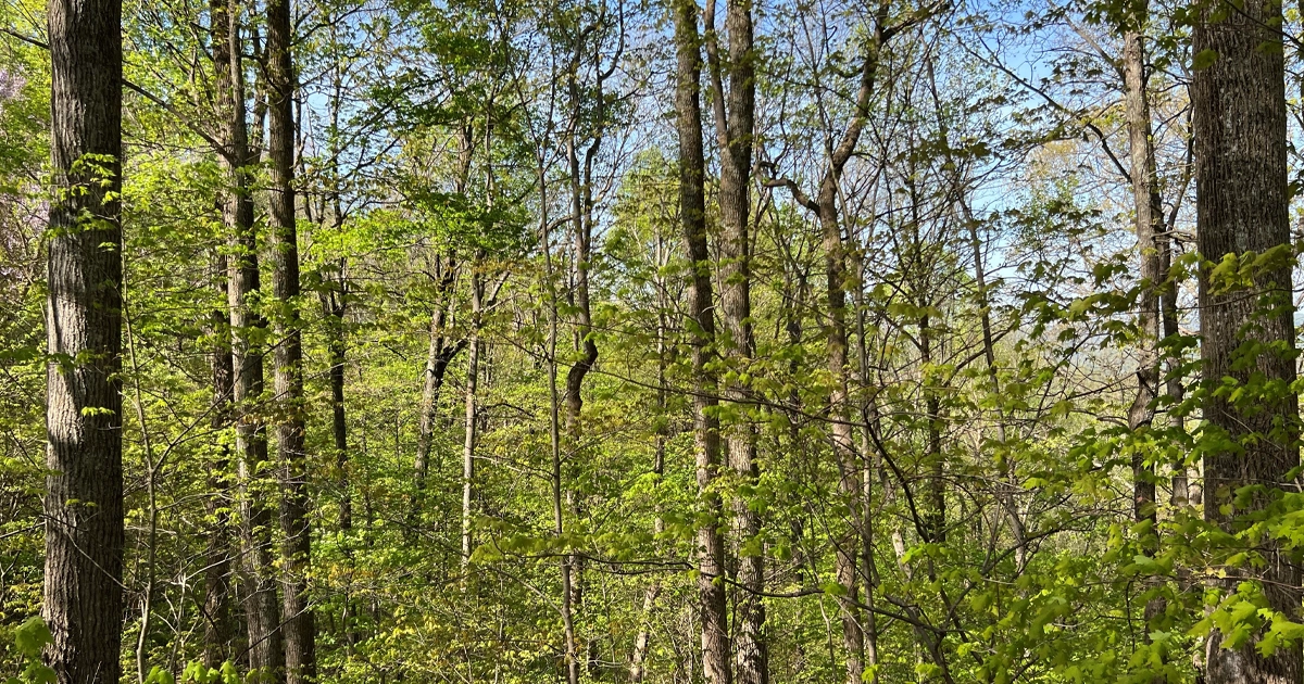 LR_MidvaleCollieryCo-07