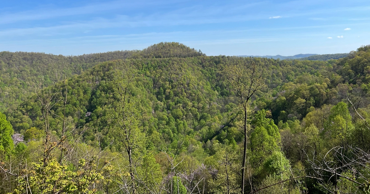 LR_MidvaleCollieryCo-08