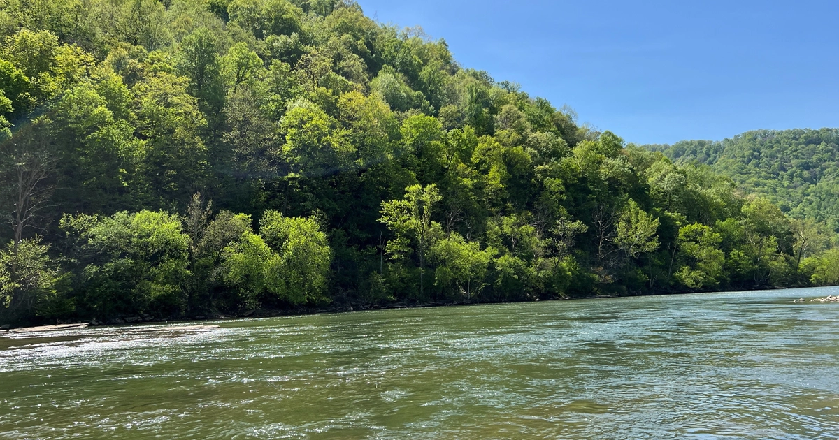 LR_MidvaleCollieryCo-10
