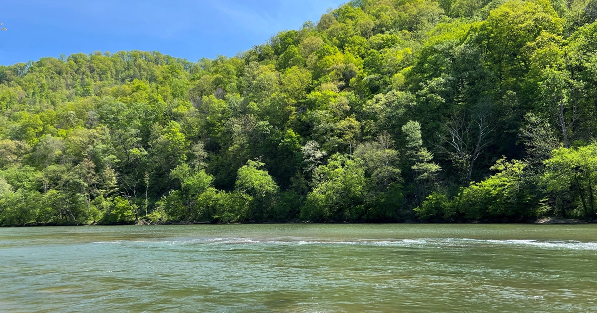 LR_MidvaleCollieryCo-12
