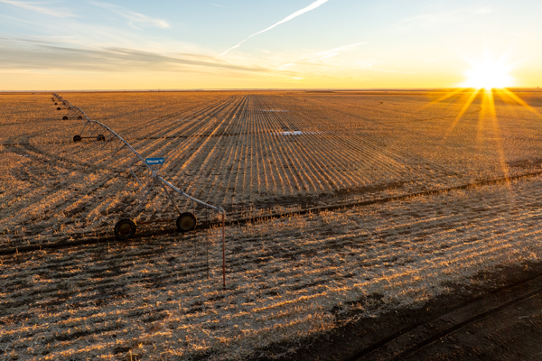 Baca County Colorado Auction