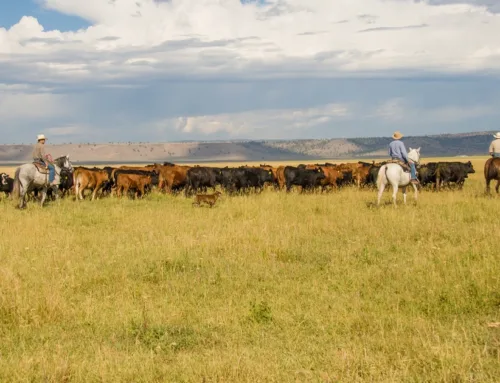 How are Thousands of Landowners Receiving an Average of $1,700 Per Acre in Tax Deductions?