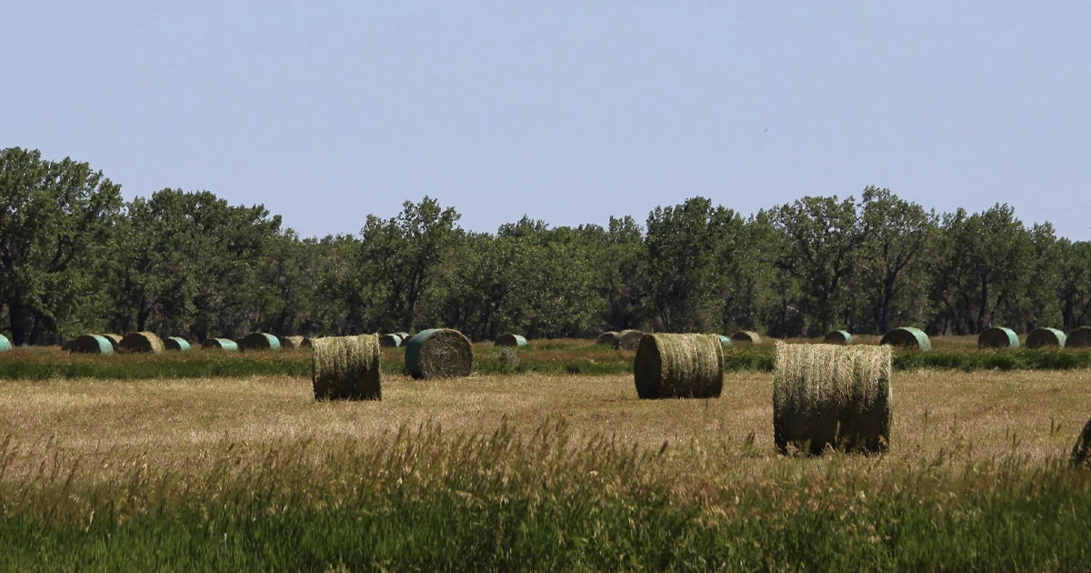 LR_CrowCreekRanch-01