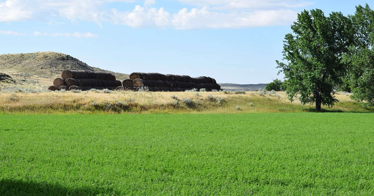 LR_CrowCreekRanch-03