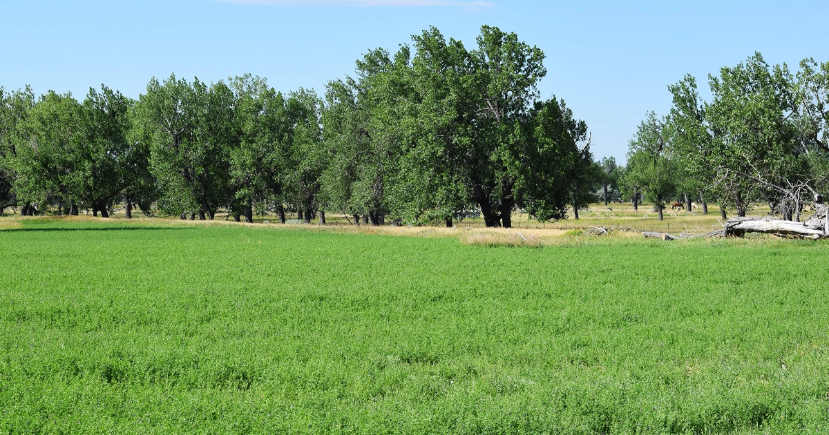 LR_CrowCreekRanch-05