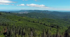 Land Report, Deal of the Year, Timberland, 2024