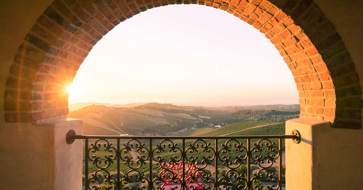 DAOU, DAOU Vineyards, Daniel Daou ,Georges Daou