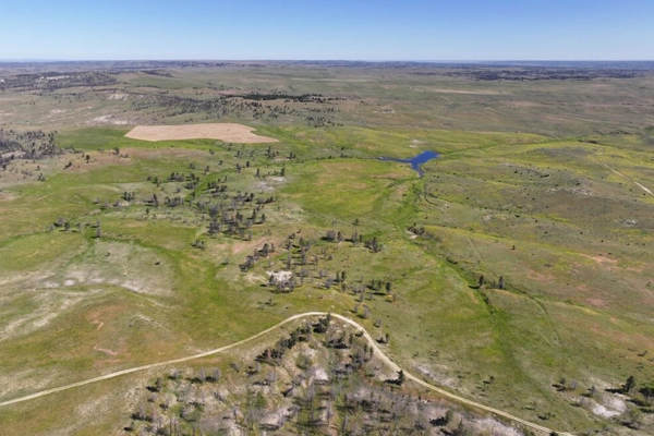 06-LR_PUBPICKS-PremierLandCompany-122024