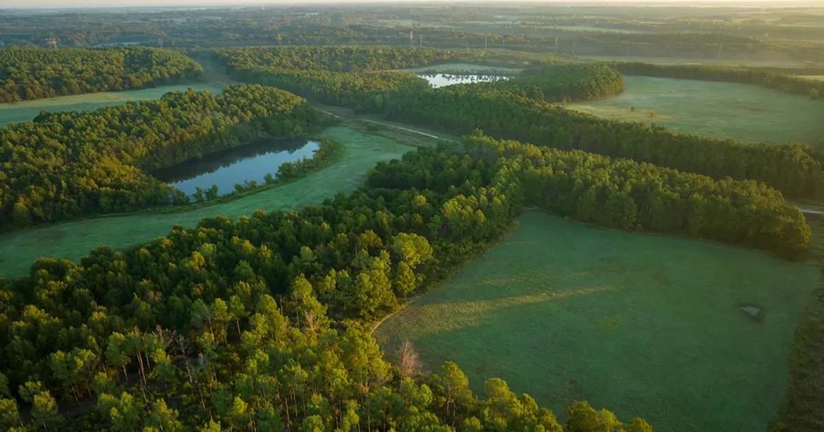 LR_LakeMonticello-04