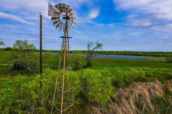 10-LR_PUBPICKS-MossyOak-032025 copy