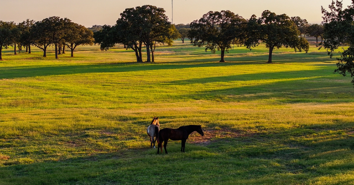 LR_K6Ranch-05