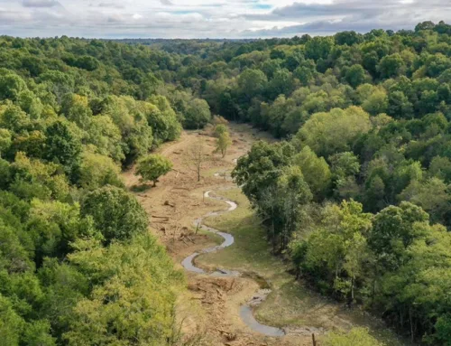 Excellent Natural Capital / Ecosystem Services Investment Opportunity