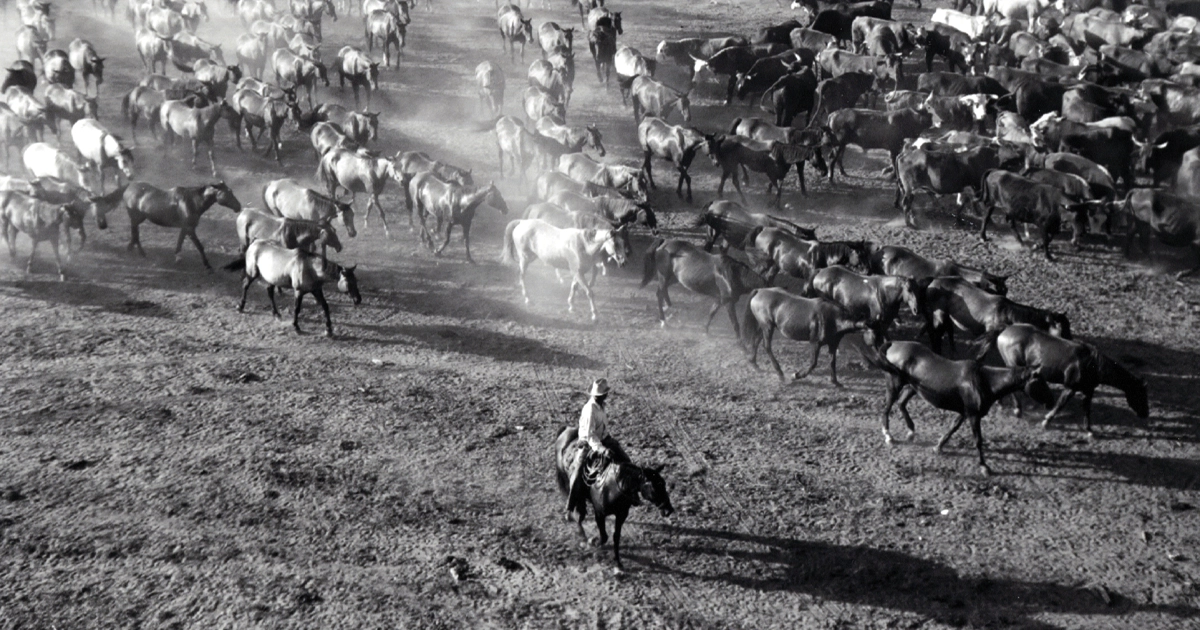 LR_TexasX_02_KingRanch