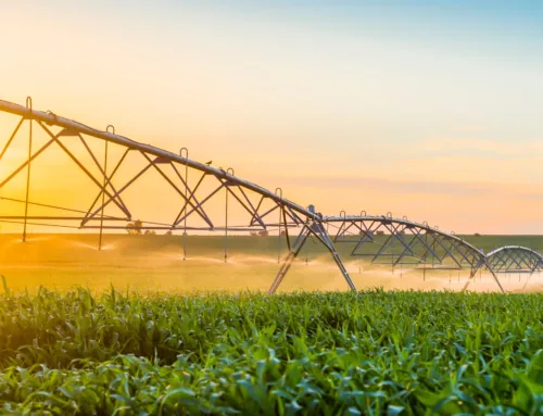 United Country Partners With Boa Safra Ag