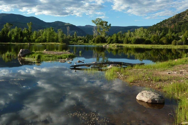 05-LR_PUBPICKS-Livewater-052025