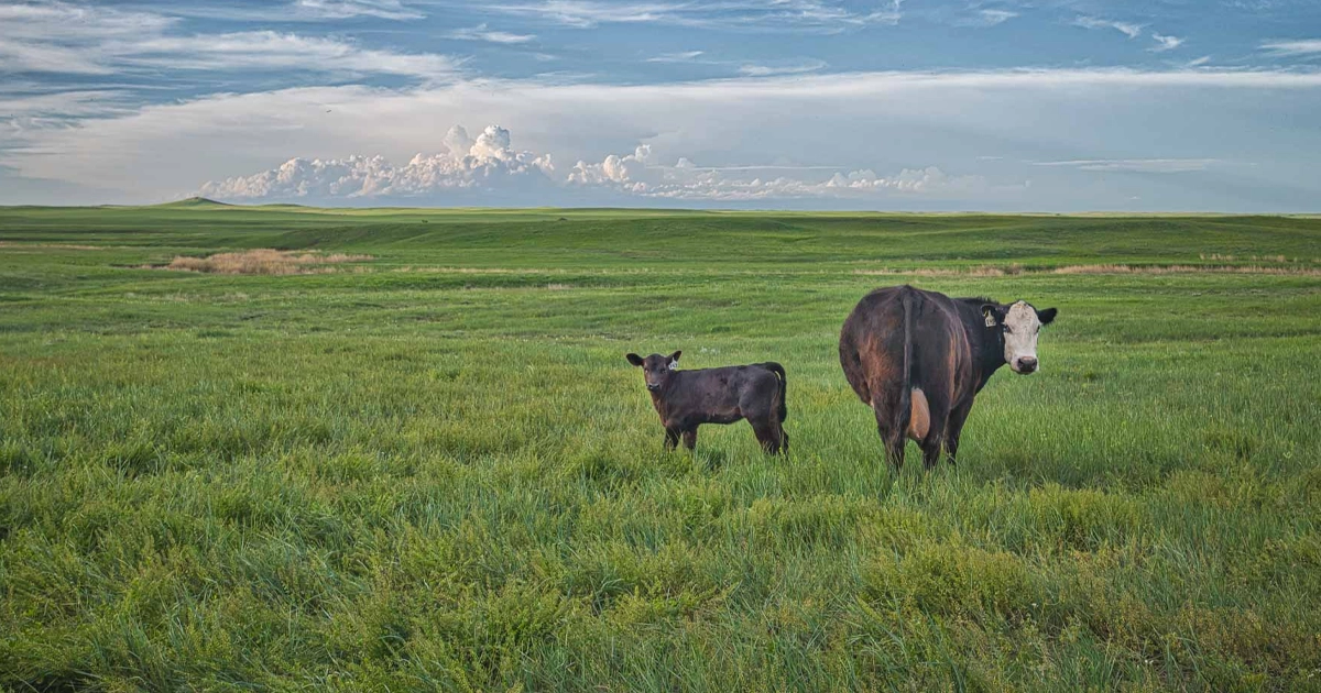 LR_DoubleRRanch-01