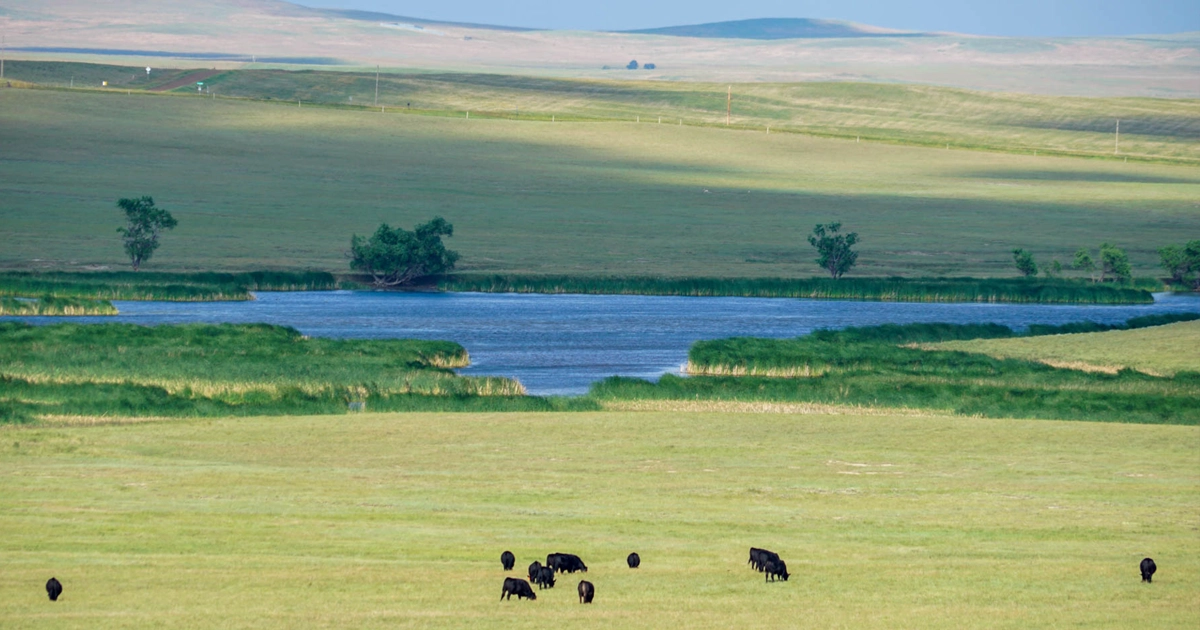 LR_DoubleRRanch-02