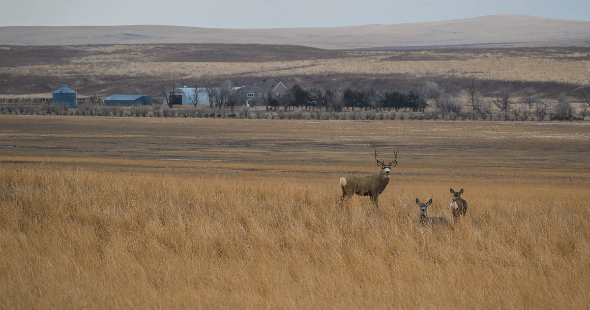 LR_DoubleRRanch-05