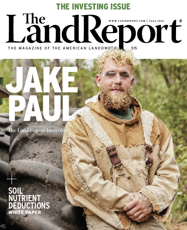 2025.3 Cover 3