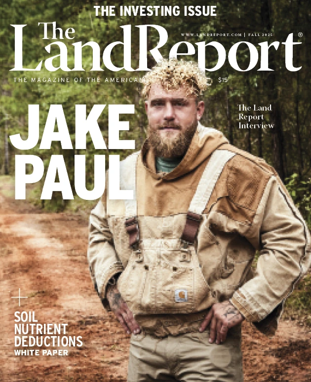 2025.3 Cover 5