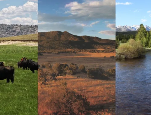 Inside Three of the West’s Largest Ranches: Pathfinder, Great Western, and Midland Ranch