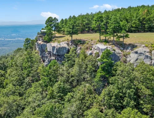 Executive Retreat in the Ouachita Mountains