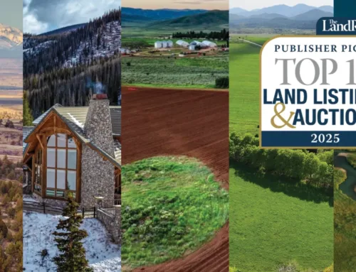 Top 5 Publisher’s Picks Properties of 2025
