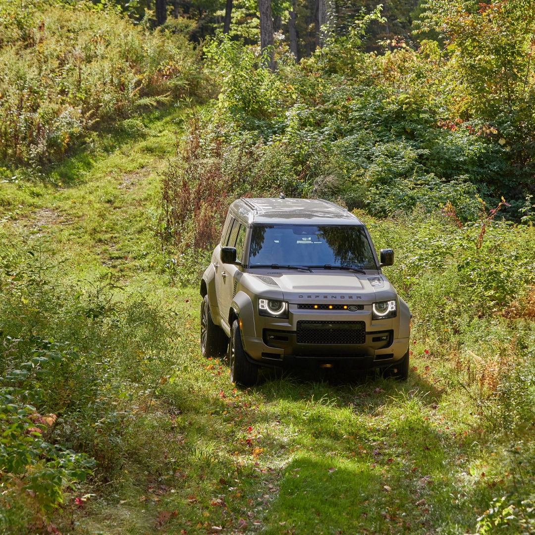 LR_DefenderOcta-02