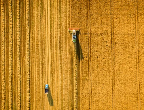 Grainfield Launches Second Midwest Farmland Fund