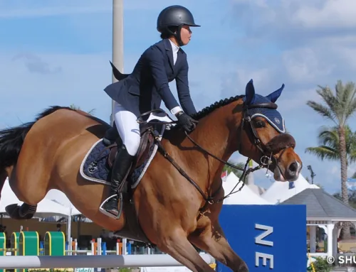 Wellington Equestrian Market Slows