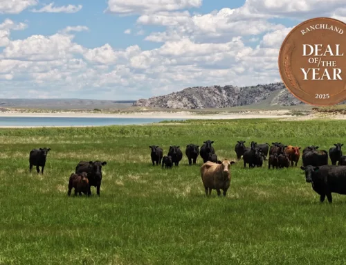 2025 Ranchland Deal of the Year: Million-Acre Pathfinder Ranches Now Wyoming’s Largest