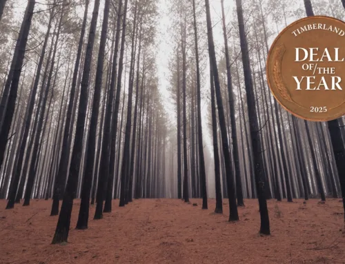 2025 Timberland Deal of the Year:  Weyerhaeuser Acquires Roanoke Timberlands