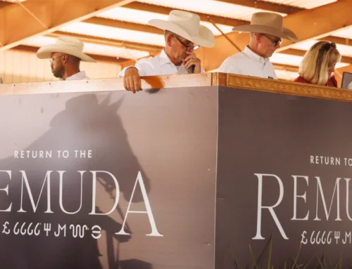 2025 Return to the Remuda Sale