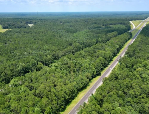 Perdido Timberlands: Bid Event