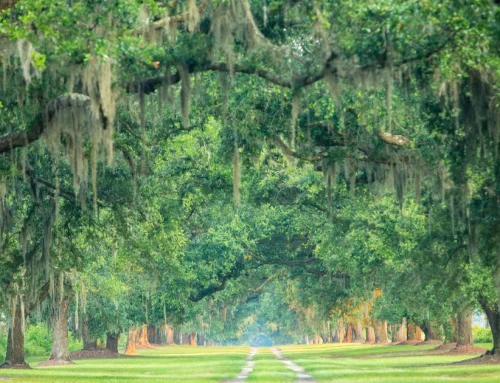 Jim Kennedy Protects Clarendon Farms